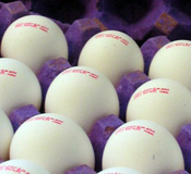 علت کمبود تخم‌مرغ سبد کالا چیست؟