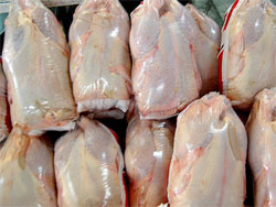 تعیین قیمت جدید مرغ توسط ستاد تنظیم بازار