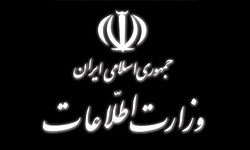 دستگیری عوامل شهادت گروهبان دانایی‌فر